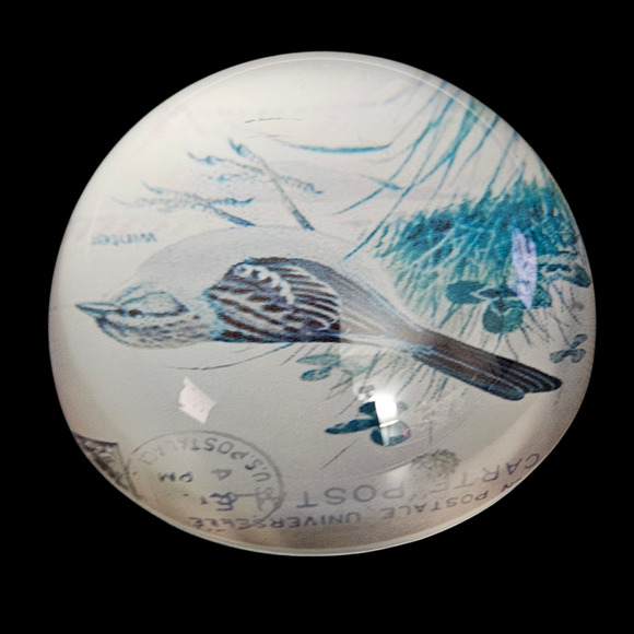 Vintage Glass Paperweight Winter Bird Illustration USPS Postcard Theme - Picture 3 of 6